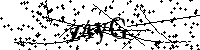 Пожалуйста, введите буквы и числа ниже